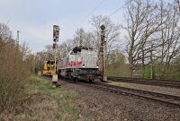 Vlcsnap-2025-04-13-16h14m13s610 cropped.jpg