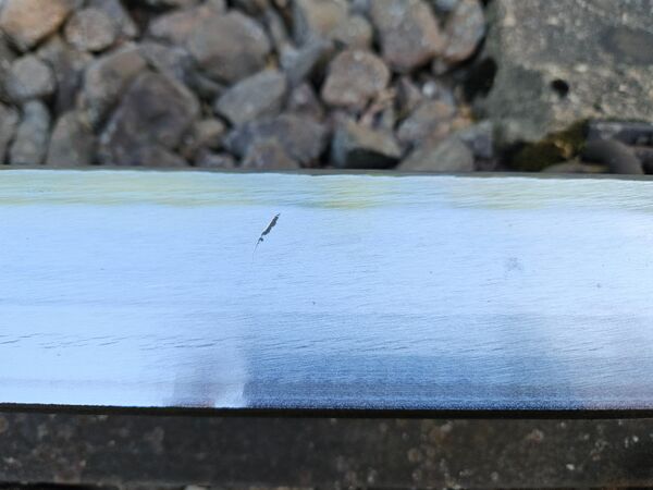 Schaden nach Fräsen 2025 1.jpg