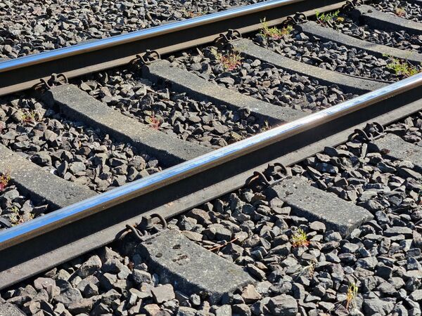 Fräsen 2025 - von fern.jpg